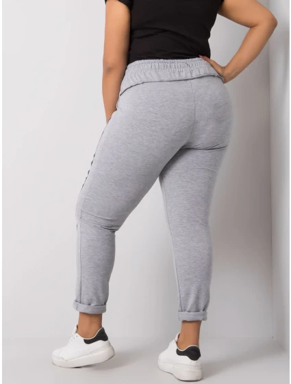 Tepláky RV DR 6300.19 sivá