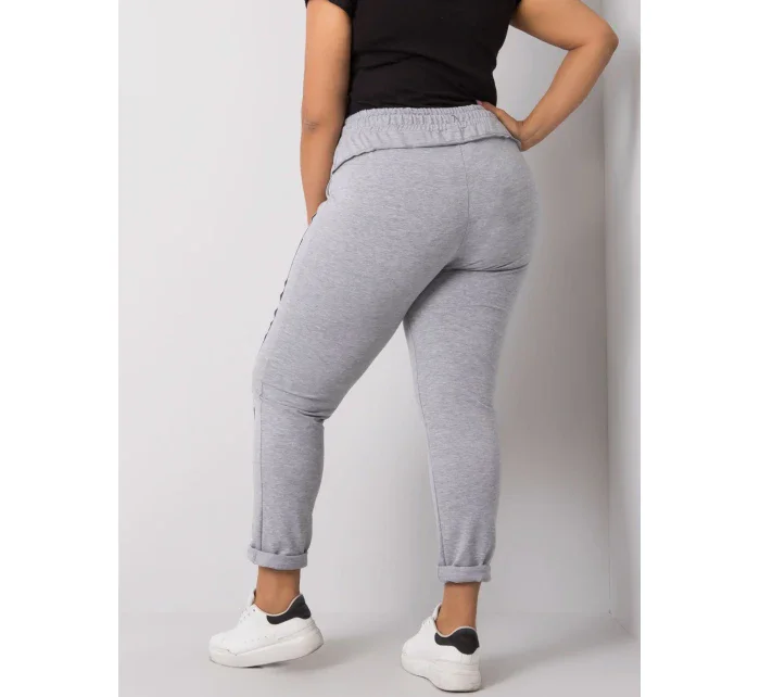 Tepláky RV DR 6300.19 sivá