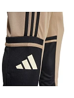 Nohavice adidas Squadra 25 Training M JP3374