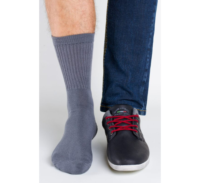 Pánské ponožky model 7464291 Bambus - Regina Socks
