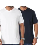 Champion 2-pack SS Tee M 220267.WW001