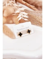 Náušnice ze nerezové oceli model 21772380 - Boto