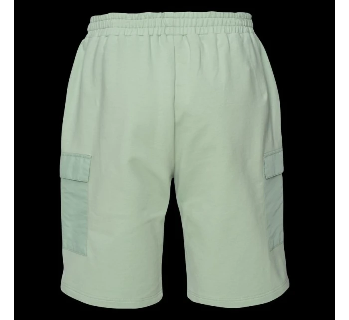 Pánské šortky model 21357253 - Iguana