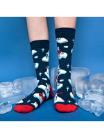 Banana Socks Ponožky Classic Polar Bear