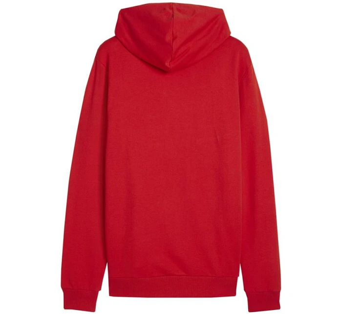 Puma Team Goal Casuals Hoody M 658618 01