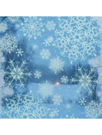 Nálepka na okno 30x42 CM