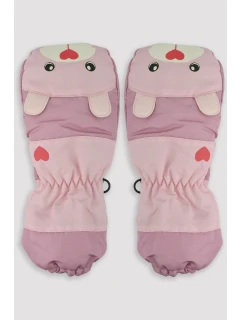 LYŽIARSKE RUKAVICE RN031