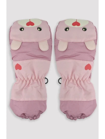 RĘKAWICZKI NARCIARSKIE model 20621419 - Noviti