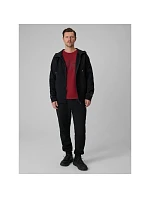 Pánská mikina s kapucí model 22171725 pánské - 4F