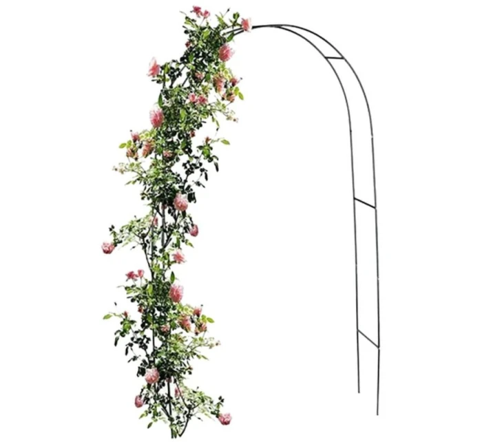 NA model 21832016 - Kinzo