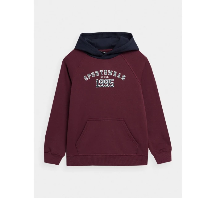 Chlapecká bavlněná mikina