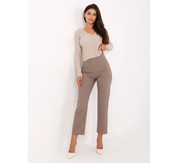 Spodnie IT SP model 21302508 ciemny bezowy - FPrice Spodnie IT SP model 21302508 ciemny bezowy - FPrice