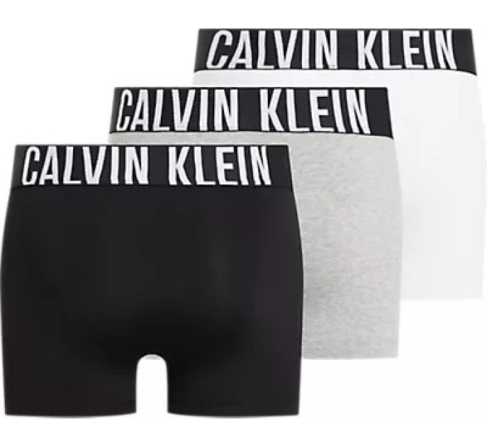 Pánska spodná bielizeň TRUNK 3PK 000NB3608AMPI - Calvin Klein