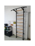 ROZKLADACIE DREVENÉ KOVOVÉ GYMNASTICKÉ REBRÍKY S KOVOVOU HRAZDOU V DUBOVEJ LAVICI 511 ROZKLADACIE DREVENÉ KOVOVÉ GYMNASTICKÉ REBRÍKY S KOVOVOU HRAZDOU V DUBOVEJ LAVICI 511