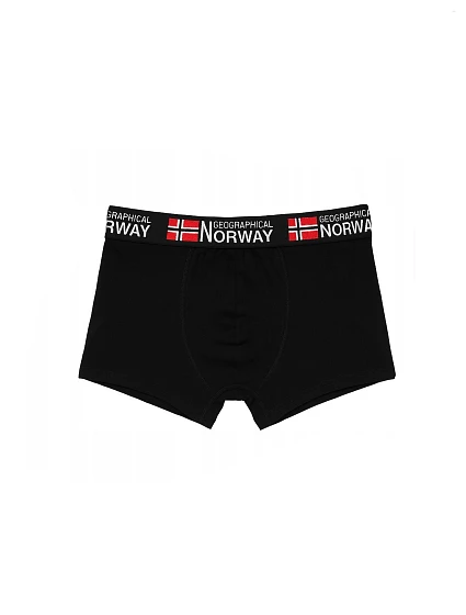 model 21427297 A'3 boxerky - Geographical Norway