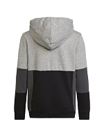 Adidas Colourblock Hoodie Jr HN8563