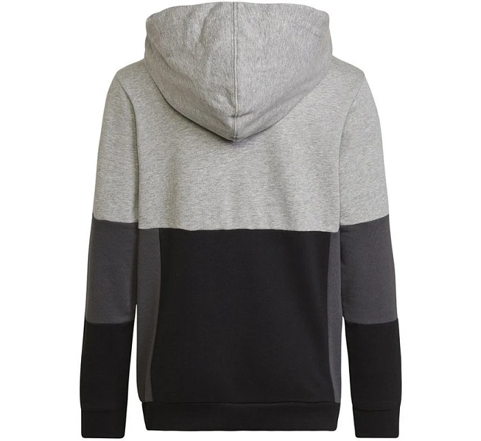 Adidas Colourblock Hoodie Jr HN8563