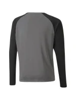 Mikina pre brankárov Puma teamPacer GK LS Jersey Jr 704939 43
