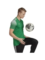 Pánske tričko Regista 20 Jersey M FI4559 - Adidas