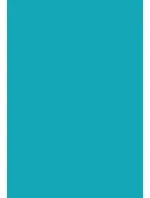 Dámské ponožky model 17766590 - Steven Dámské ponožky model 17766590 - Steven