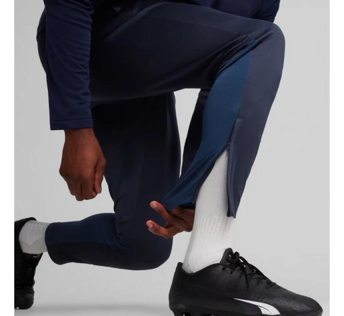 Team Goal Training M kalhoty model 21062315 06 - Puma