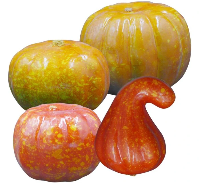 DEKORACYJNA model 21833778