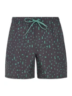 Pánske plážové šortky Protest PRTGROM