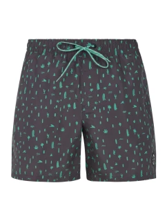 Pánske plážové šortky Protest PRTGROM