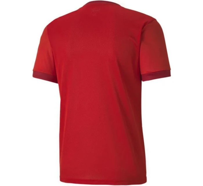 Puma teamGOAL 23 Jersey M 704171 01 pánske dresy