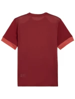 Pánský dres teamGoal Jersey bordó 09 pánské model 21392045 - Puma Pánský dres teamGoal Jersey bordó 09 pánské model 21392045 - Puma