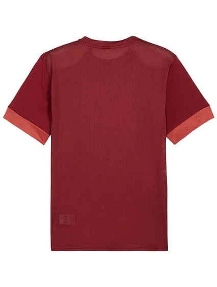 Pánský dres teamGoal Jersey bordó 09 pánské model 21392045 - Puma Pánský dres teamGoal Jersey bordó 09 pánské model 21392045 - Puma