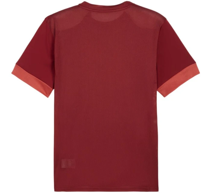 Pánský dres teamGoal Jersey bordó 09 pánské model 21392045 - Puma Pánský dres teamGoal Jersey bordó 09 pánské model 21392045 - Puma