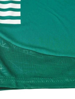 Futbalové šortky SPAIN v25 green