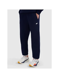 Pánske tepláky typu jogger 4F 4FRMM00TTROM1625-31S