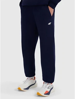 Pánské tepláky typu jogger 4F model 22088399 - Hikvision