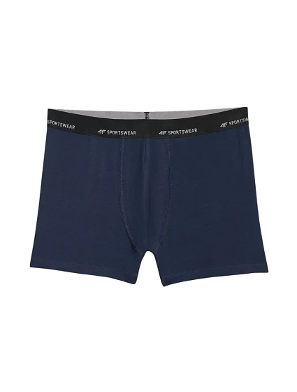 Pánské boxerky 2pack WMM00UBXS 90S model 22088181 - 4F Pánské boxerky 2pack WMM00UBXS 90S model 22088181 - 4F