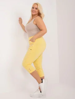 Spodnie AT SP model 19658773 jasny żółty - FPrice