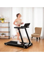 PÁS model 21818244 - HMS