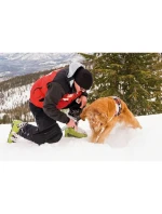 TELESKOP CAR SNOW SHOVEL EVEREST ECO 68,5-71,5-82CM detské