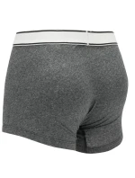 Pánské boxerky 2Pack model 18852558 šedá Levi's - Levis