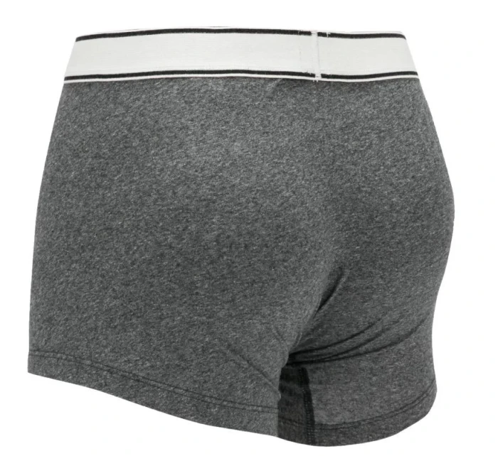 Pánské boxerky 2Pack model 18852558 šedá Levi's - Levis