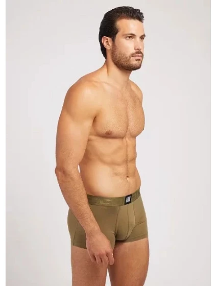 Pánské boxerky 3 pack   model 18284036 - Guess