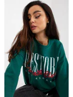 Mikina model 171687 EM