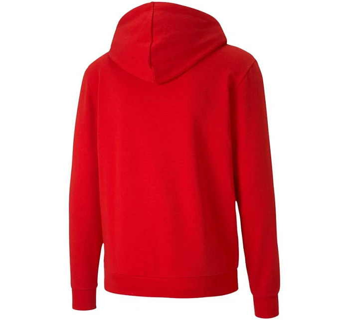 Pánske tričko teamGoal 23 Casuals Hooded M 656708 01 - Puma