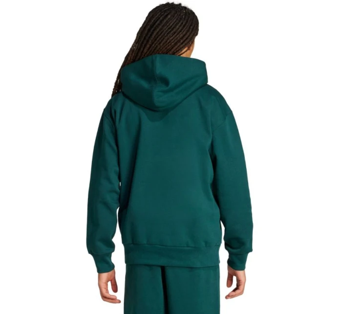 Pánské mikiny Fleece Hoodie Green pánské model 21738003 - ADIDAS Pánské mikiny Fleece Hoodie Green pánské model 21738003 - ADIDAS