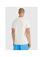 Pánske tričko s potlačou 4F 4FRSS25TTSHM2846-12S