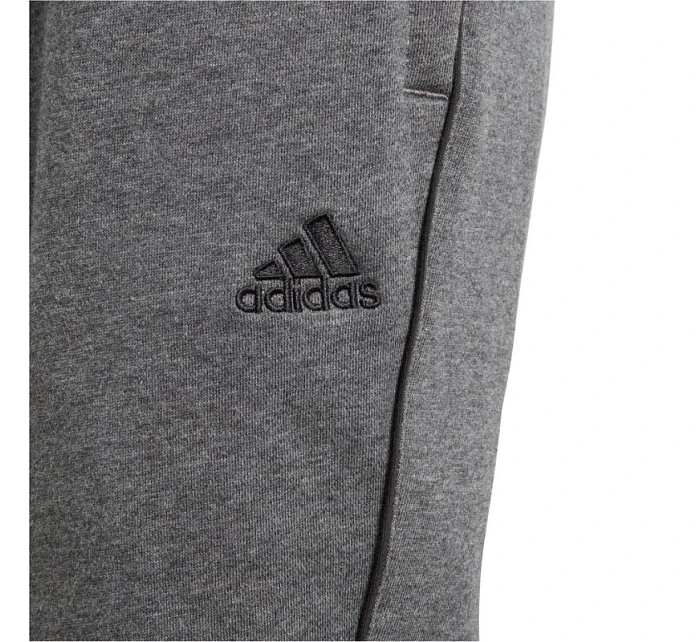 Chlapčenské nohavice Core 18 Sweat JR CV3957 - Adidas