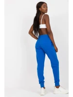 Teplákové nohavice model 169718 BFG Teplákové nohavice model 169718 BFG