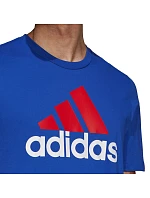 Adidas Essentials Big Logo Tee M H12174 muži