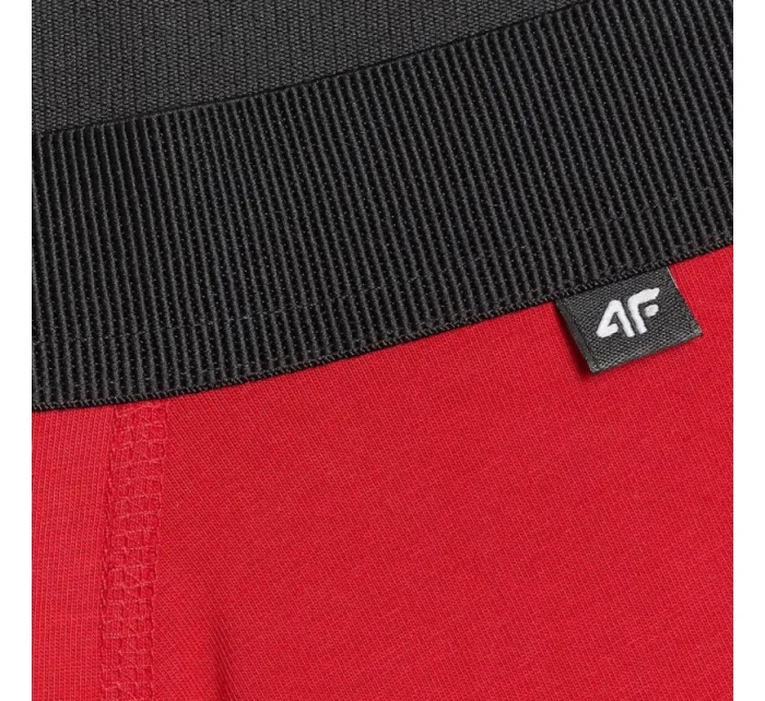 Pánské boxerky 2pack 2 WMM00UBXS model 21396540 - 4F Pánské boxerky 2pack 2 WMM00UBXS model 21396540 - 4F